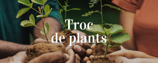 Troc de plants à la grainothèque